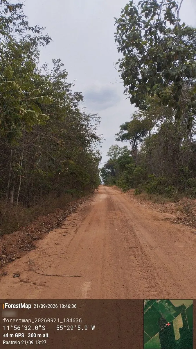 Foto de uma estrada de terra entrando na mata com o carimbo do ForestMap no rodapé: data, hora, coordenada, exatidão do GPS e recorte do mapa