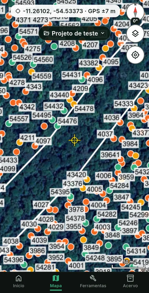 PDF georreferenciado de um censo florestal aberto no ForestMap sobre o satélite: cada árvore com o número da placa e a cor da categoria